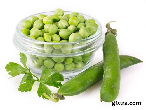 Fresh Pea Isolated - 6xJPGs