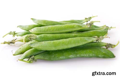 Fresh Pea Isolated - 6xJPGs