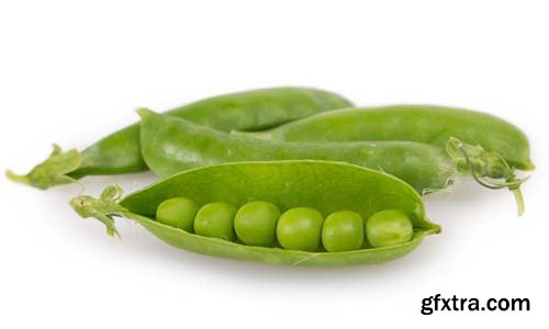 Fresh Pea Isolated - 6xJPGs