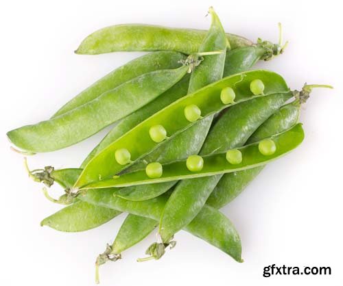 Fresh Pea Isolated - 6xJPGs