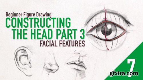 Beginner Figure Drawing - Constructing The Head Part 3 - Facial Features