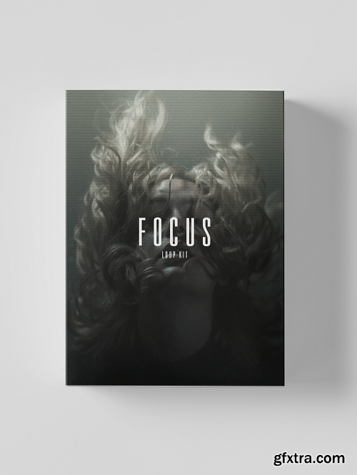 The Kit Plug Focus (Loop Kit) WAV