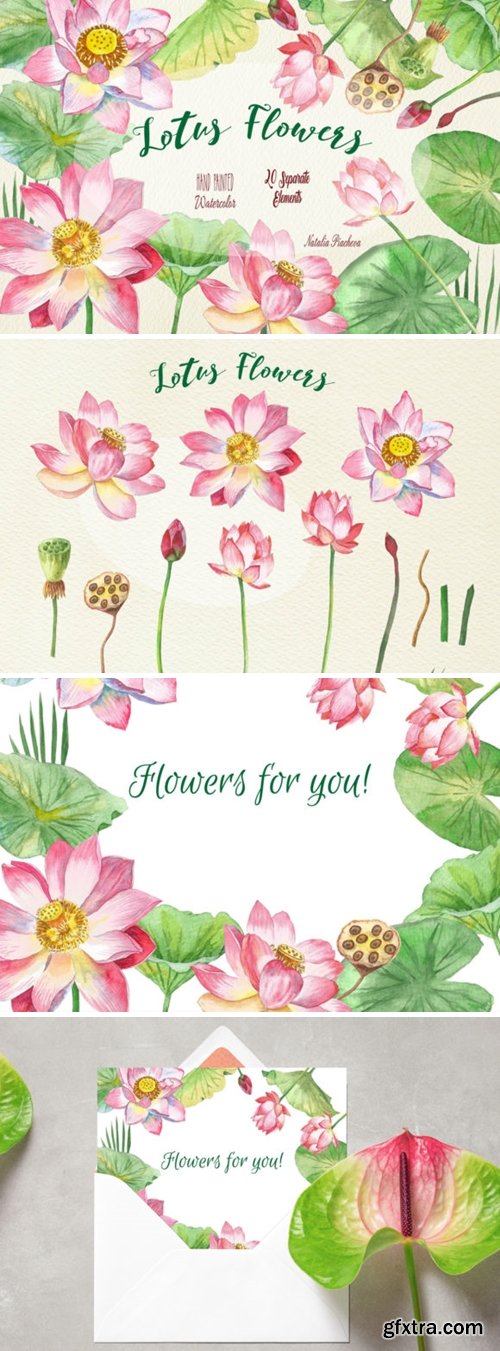 Lotus Flowers Watercolor Clipart