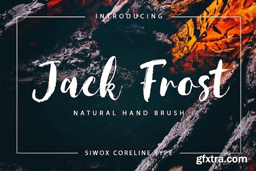 CreativeMarket New! Natural Font Bundles 3750908