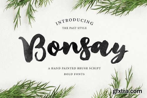 CreativeMarket New! Natural Font Bundles 3750908