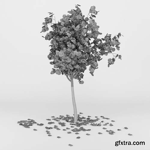 Cgtrader - Autumn Tree 3D model