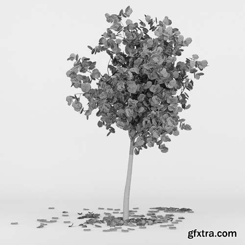 Cgtrader - Autumn Tree 3D model