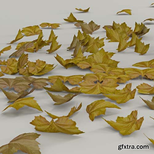 Cgtrader - Autumn Tree 3D model