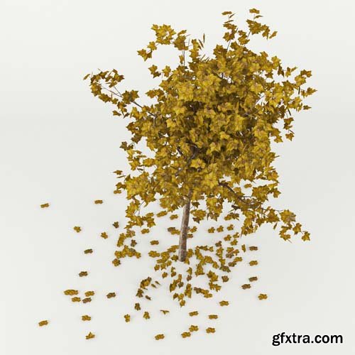 Cgtrader - Autumn Tree 3D model