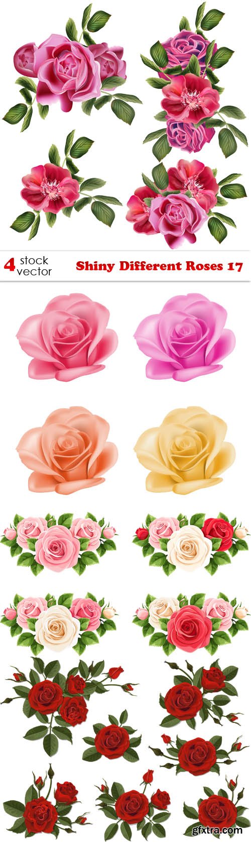 Vectors - Shiny Different Roses 17