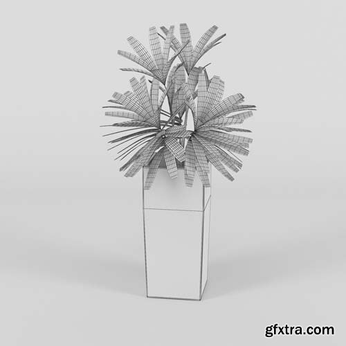 Cgtrader - Natural Indoor Plant 3D model