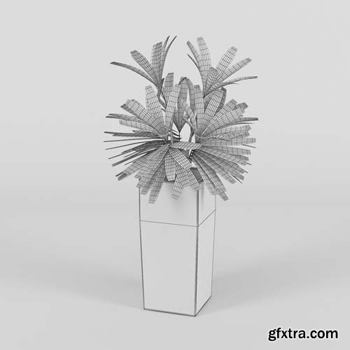 Cgtrader - Natural Indoor Plant 3D model