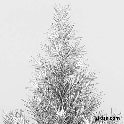 Cgtrader - Fir Tree 3D model