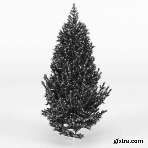 Cgtrader - Fir Tree 3D model