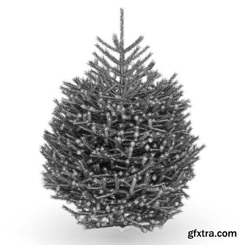 Cgtrader - Fir Tree 3D model