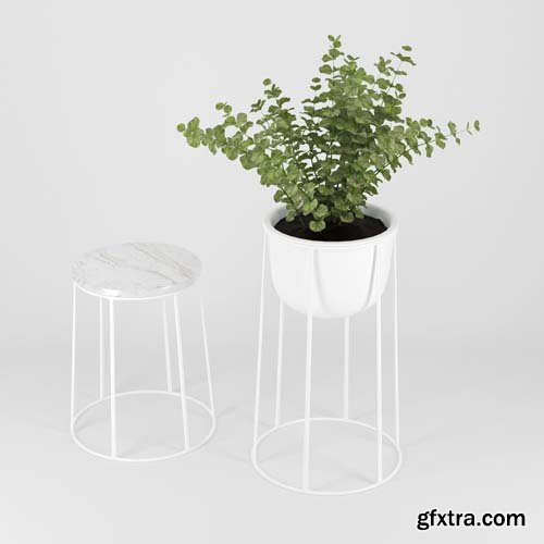 Cgtrader - WIRE POT 3D model