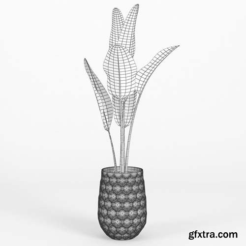 Cgtrader - Banana Palm Hive Vases 3D model