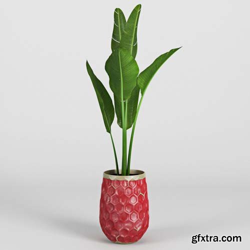 Cgtrader - Banana Palm Hive Vases 3D model