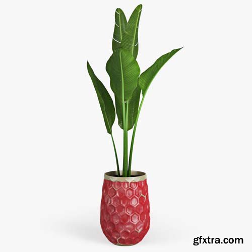 Cgtrader - Banana Palm Hive Vases 3D model