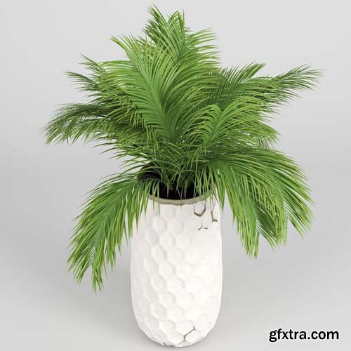 Cgtrader - Palm Hive Vases 3D model