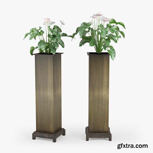 Cgtrader - Anthurium 3D model