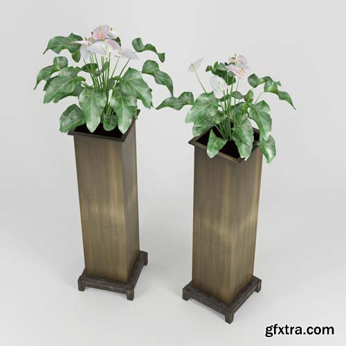 Cgtrader - Anthurium 3D model