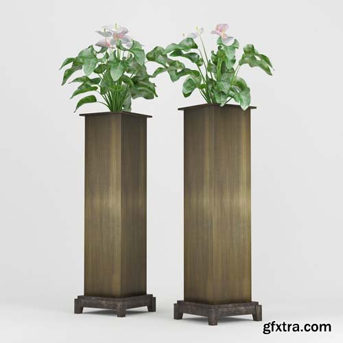 Cgtrader - Anthurium 3D model