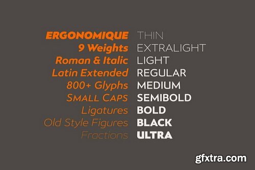 Ergonomique Font Family