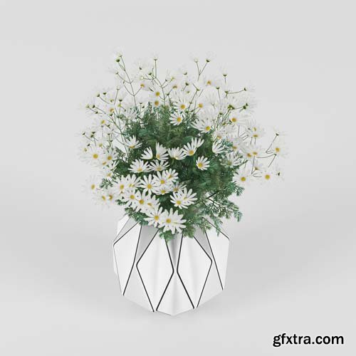 Cgtrader - Daisy 3D model