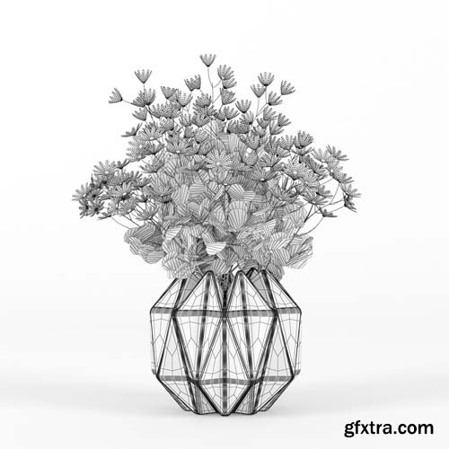 Cgtrader - Daisy 3D model