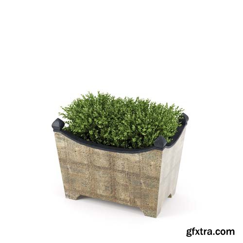 Cgtrader - BOXWOOD TOPIARY 3D model