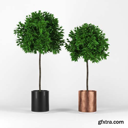 Cgtrader - Plants 3D model