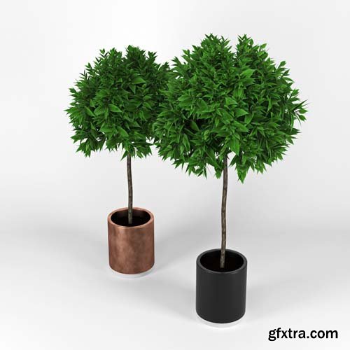 Cgtrader - Plants 3D model