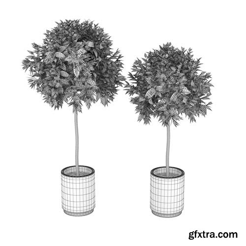 Cgtrader - Plants 3D model