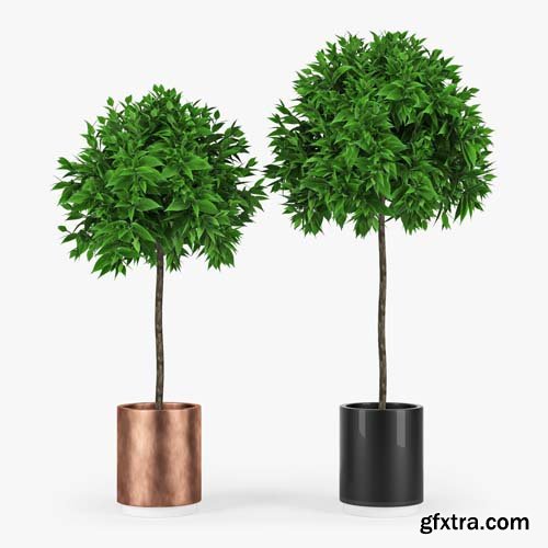 Cgtrader - Plants 3D model