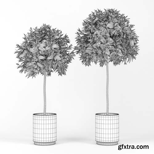 Cgtrader - Plants 3D model