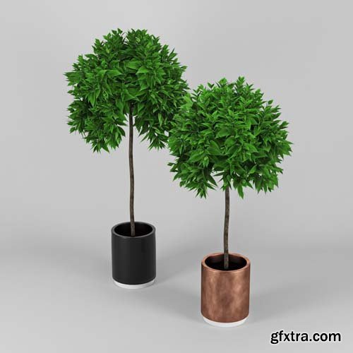 Cgtrader - Plants 3D model