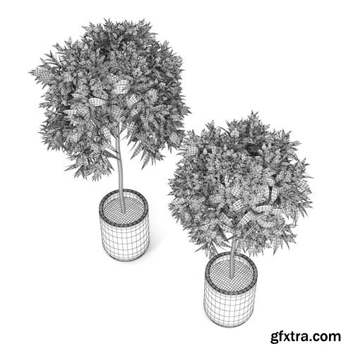 Cgtrader - Plants 3D model