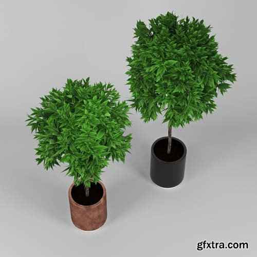 Cgtrader - Plants 3D model