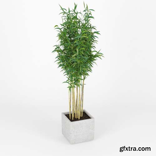 Cgtrader - Square Planters 3D model