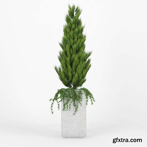 Cgtrader - Square Planters 3D model