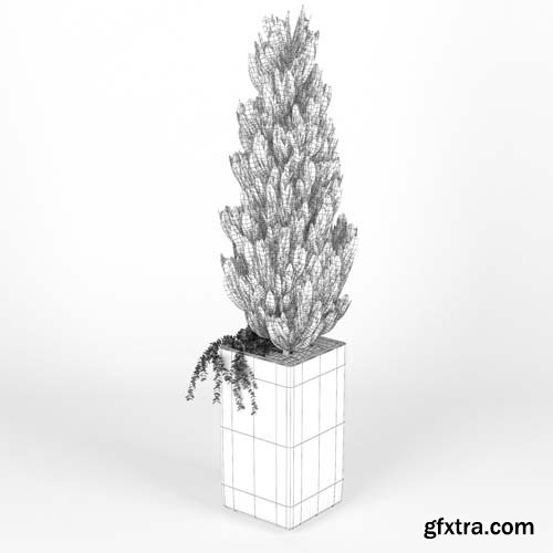 Cgtrader - Square Planters 3D model