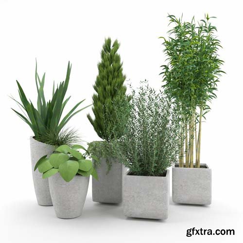 Cgtrader - Square Planters 3D model