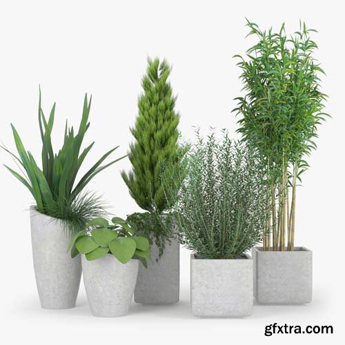 Cgtrader - Square Planters 3D model