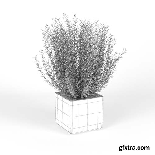 Cgtrader - Square Planters 3D model