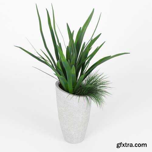 Cgtrader - Slant Light Grey Tall Planter grass 3D model