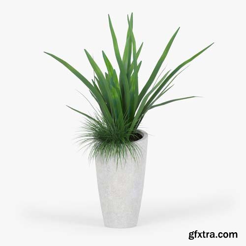 Cgtrader - Slant Light Grey Tall Planter grass 3D model