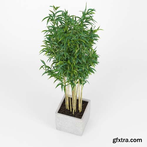 Cgtrader - Bambus Muriel Square Large Planter 3D model