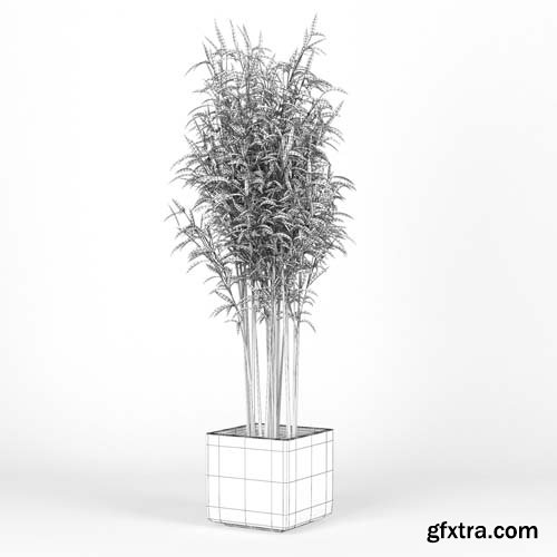 Cgtrader - Bambus Muriel Square Large Planter 3D model