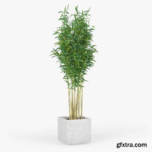 Cgtrader - Bambus Muriel Square Large Planter 3D model